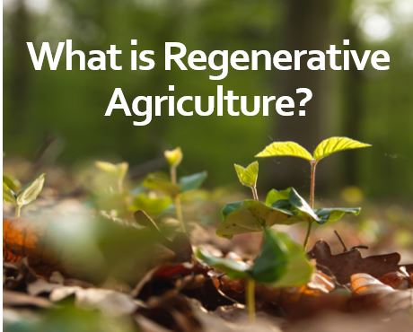 What is Regenerative Agriculture?